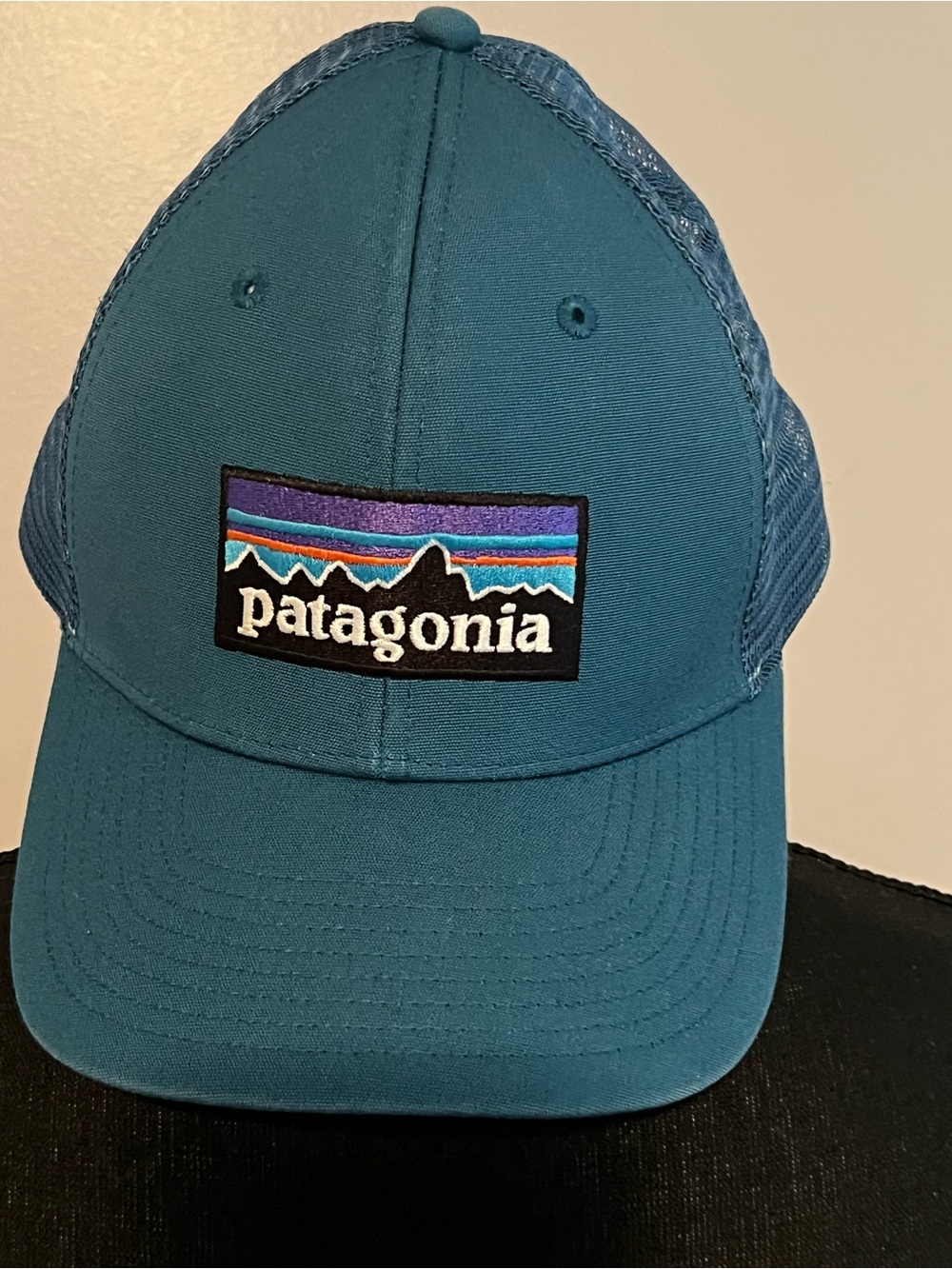 Patagonia P-6 Relaxed Trucker Hat